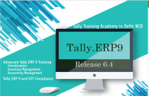 Tally Prime Course in Delhi,110009 SLA Accounting Institute, Taxation and Tally Prime Institute in Delhi, Noida, July Offer’24 [ Learn New Skills of Accounting & GST, ITR for 100% Job] in Bajaj Alliance.